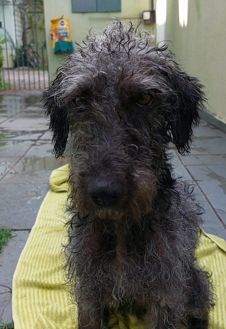 Foto 4 de Aysha