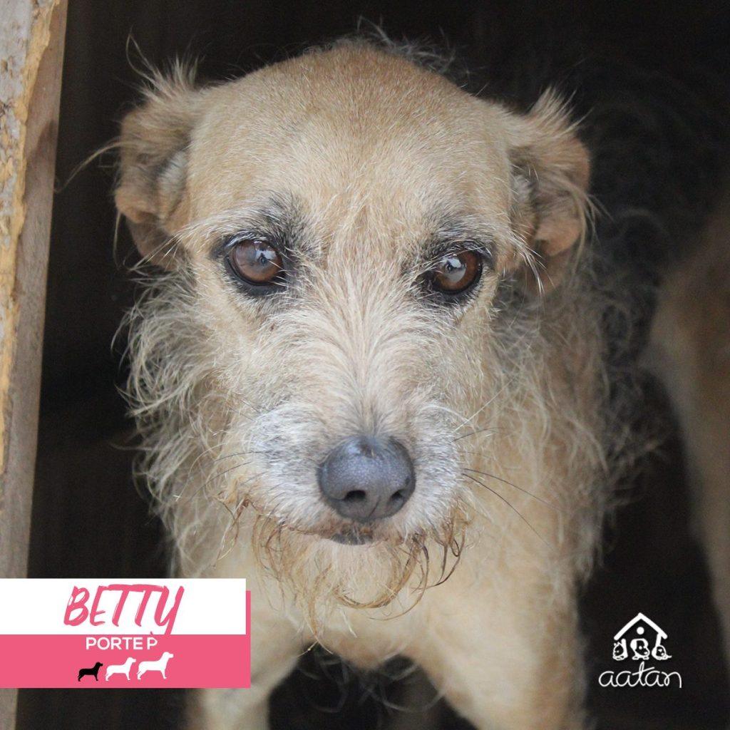 Foto 2 de Betty