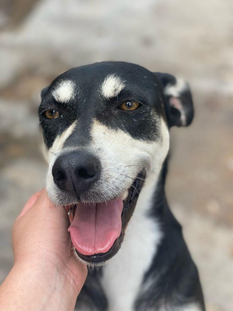Foto 2 de Cora