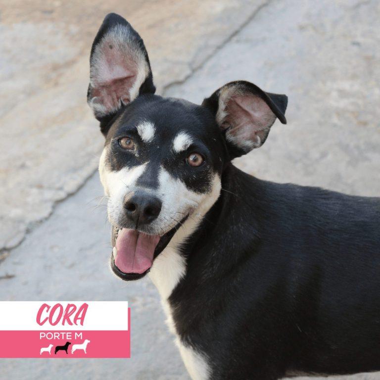 Foto 3 de Cora