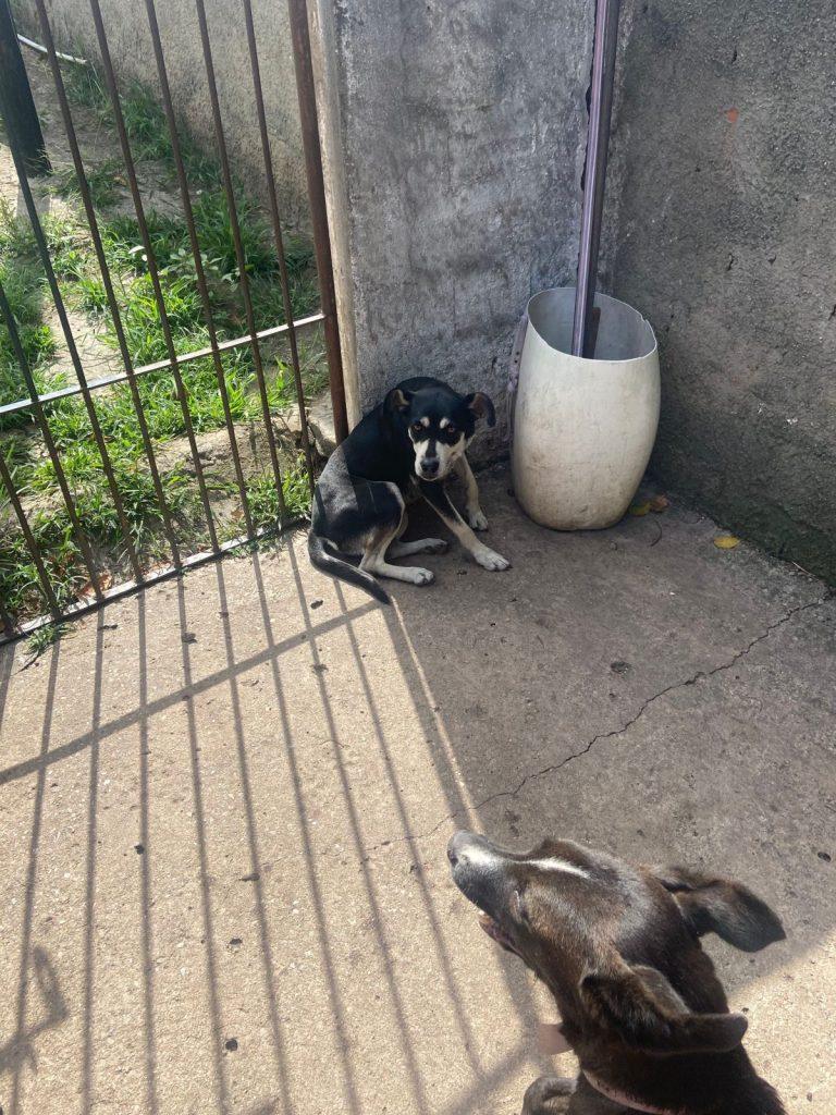 Foto 4 de Cora