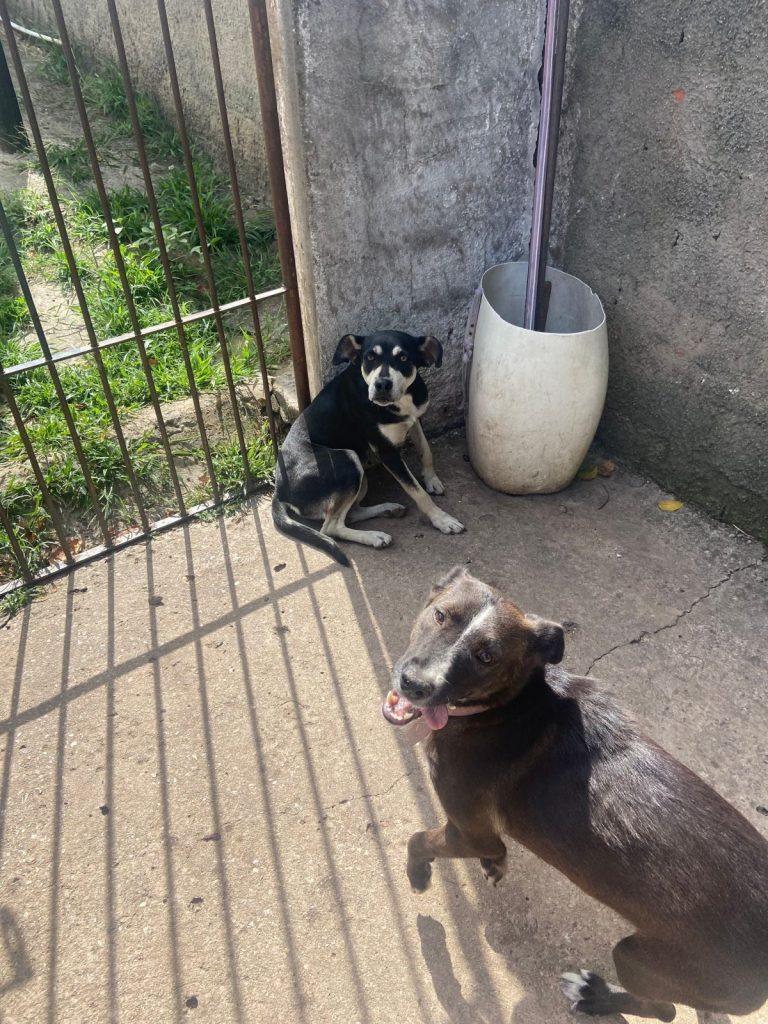 Foto 5 de Cora