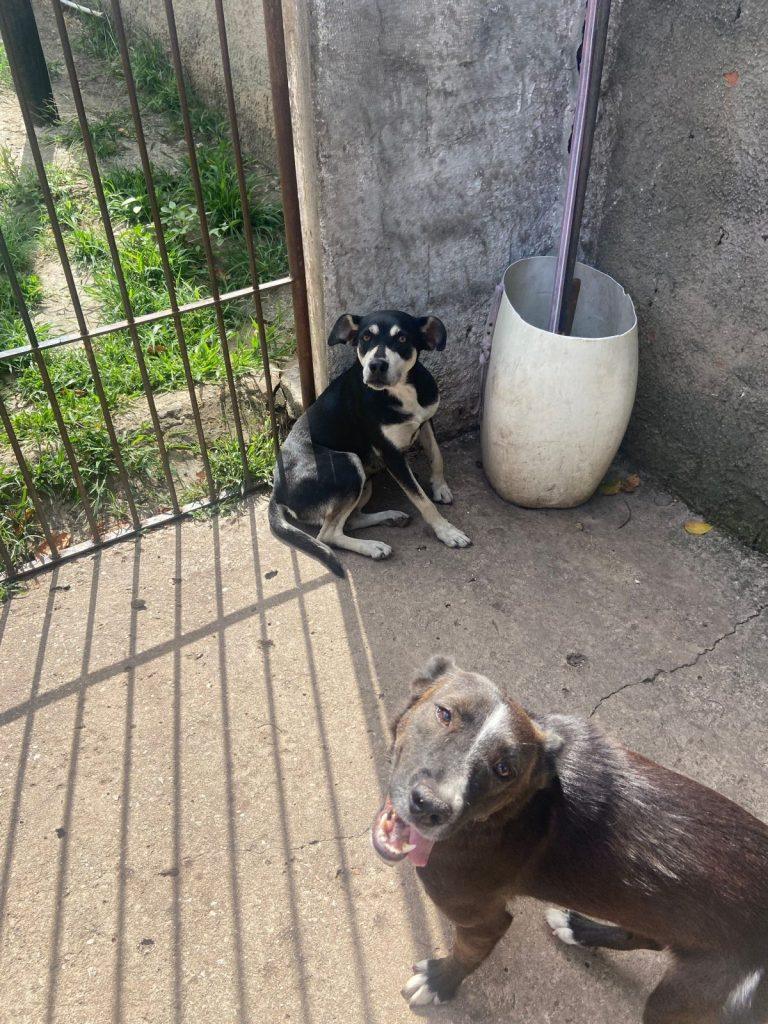 Foto 6 de Cora