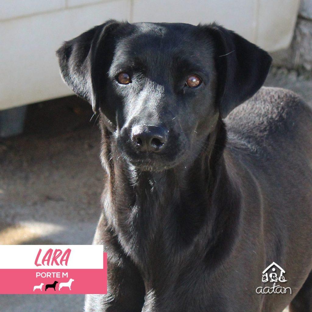 Foto 2 de Lara