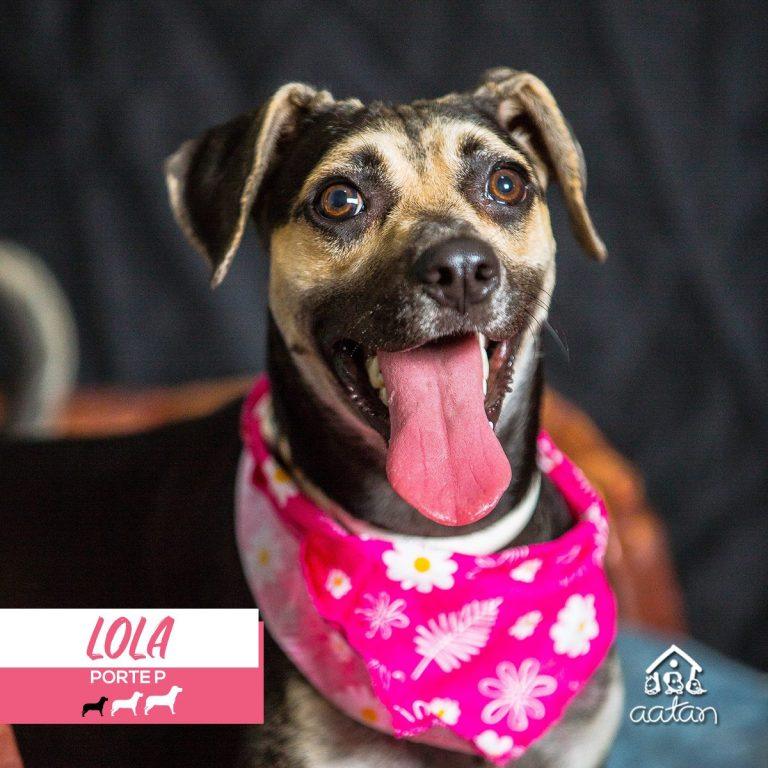 Lola