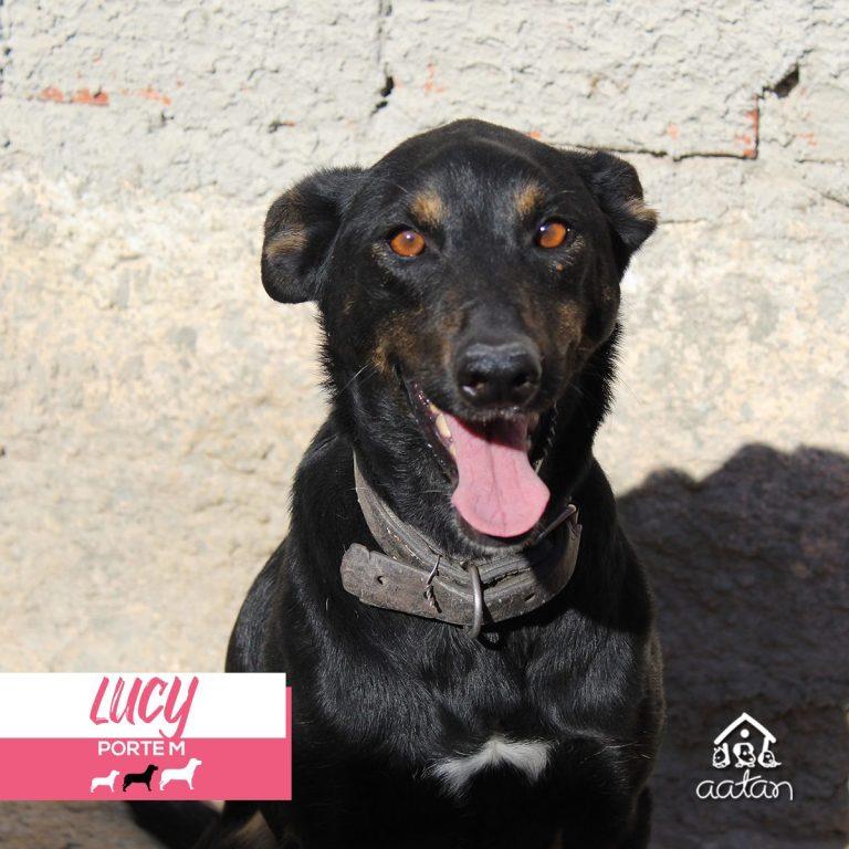 Foto 6 de Lucy