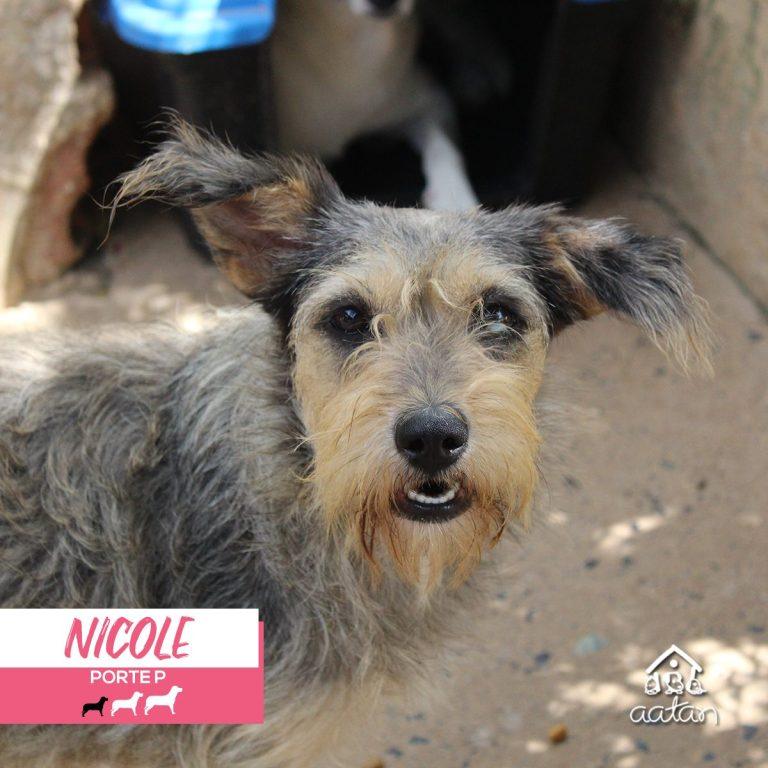 Foto 4 de Nicole