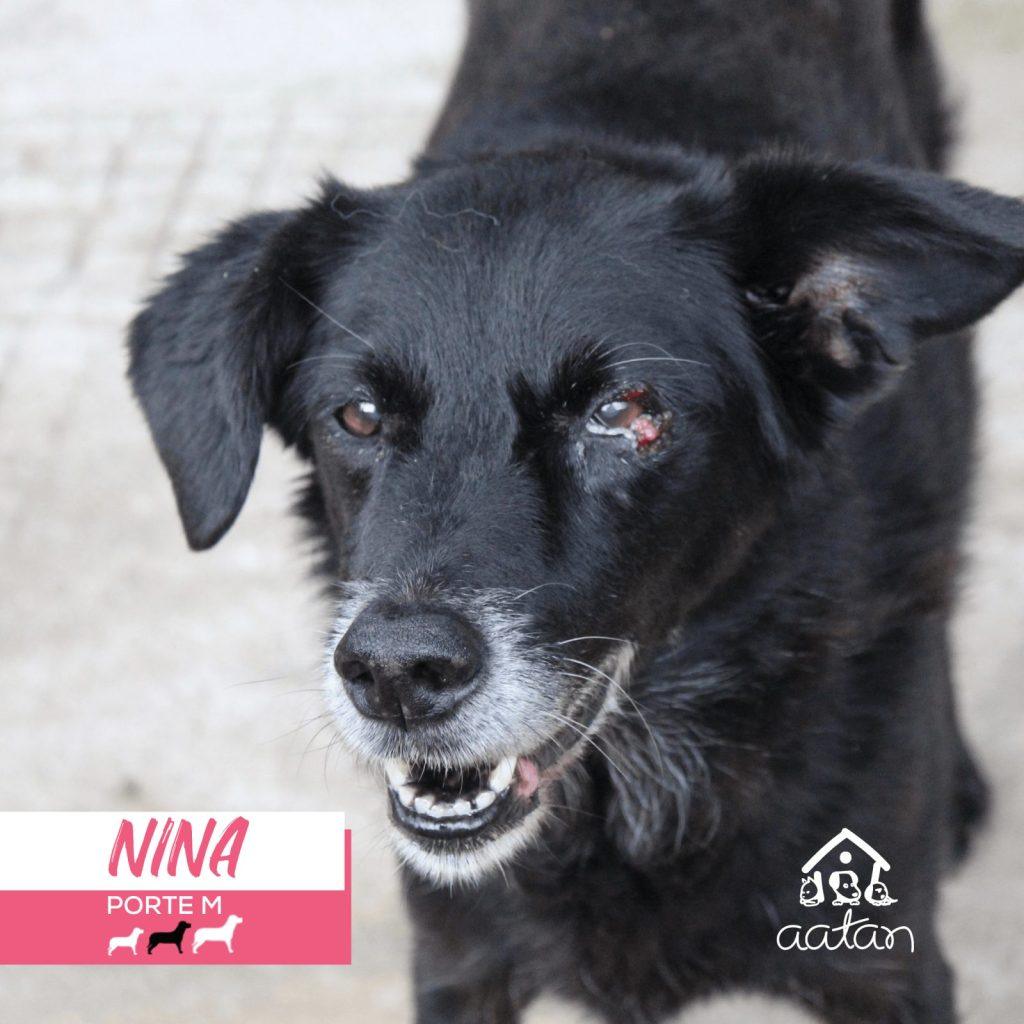 Nina