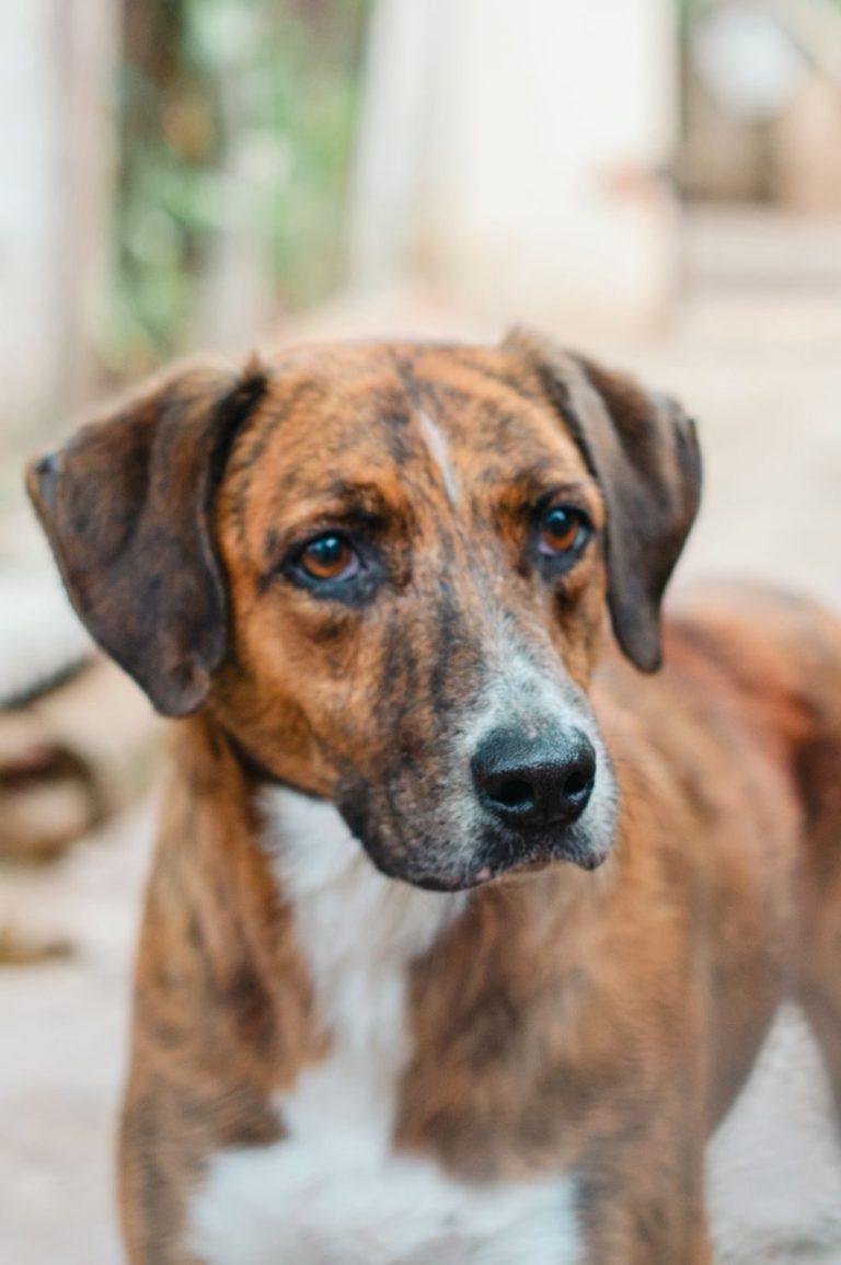 Foto 3 de Paris