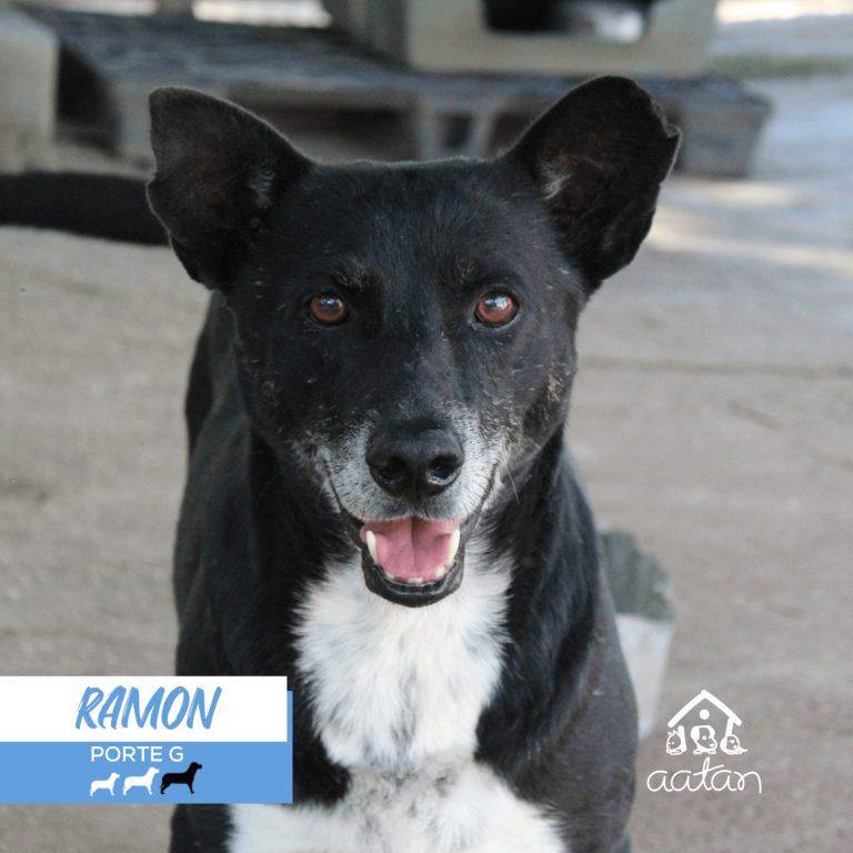 Ramon