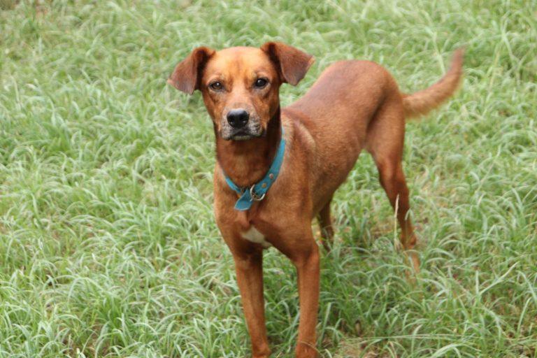Foto 3 de Scar