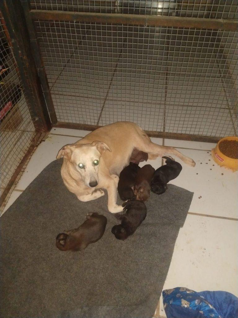 Foto 3 de Úrsula